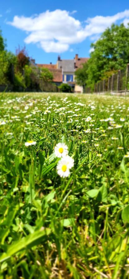 Le Gite Du Nohain Entrains-sur-Nohain Exteriör bild